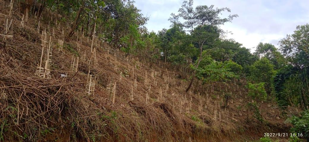 C:\Users\Nitro5\Downloads\mewan yt\WhatsApp Image 2023-03-14 at 6.51.17 PM.jpeg